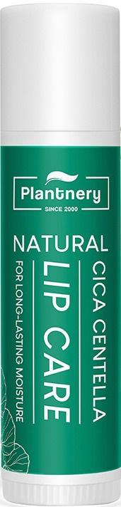 Cica Centella Natural Lip Balm