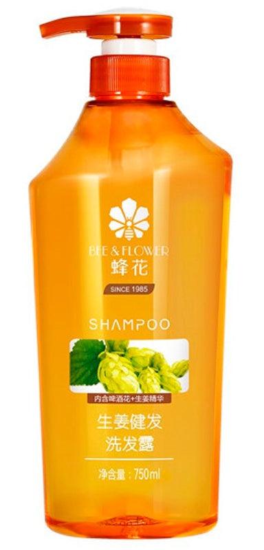 Ginger Shampoo