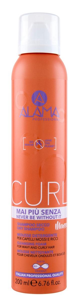 Curl Dry Shampoo Mousse