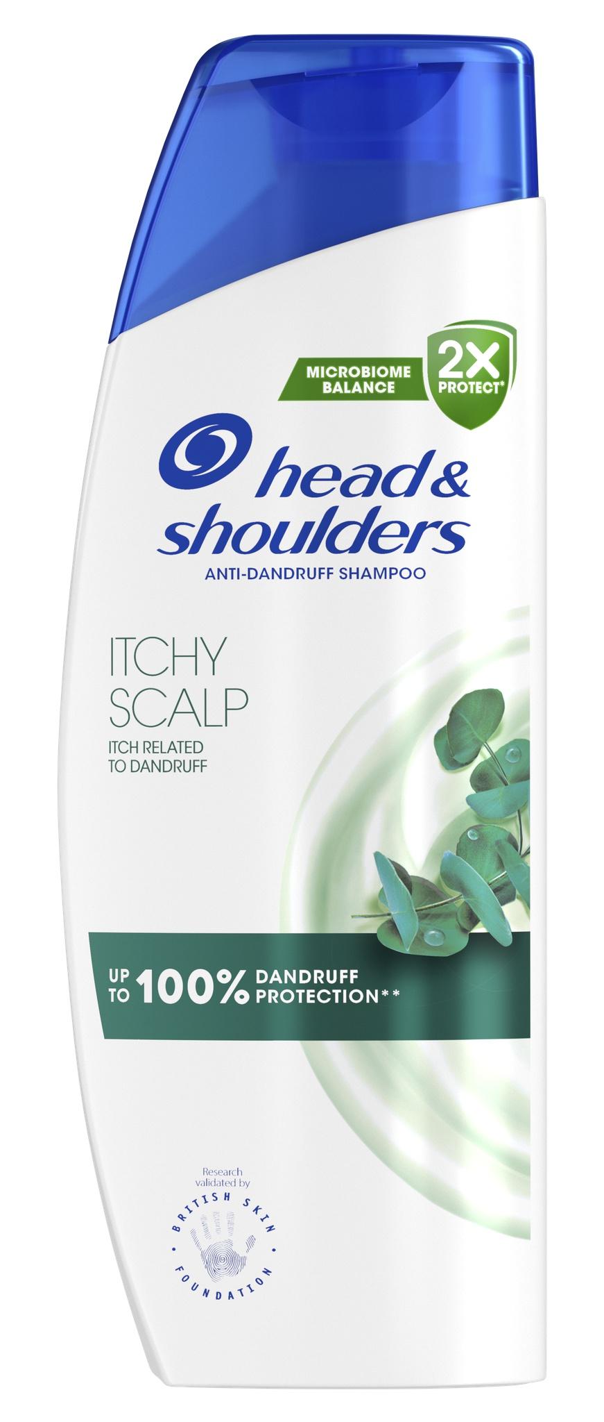 Eucalyptus Shampoo