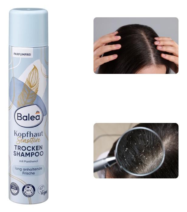 Kopfhaut Sensitive Trocken Shampoo