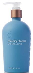 Protecting Shampoo