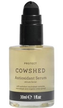 Antioxidant Serum