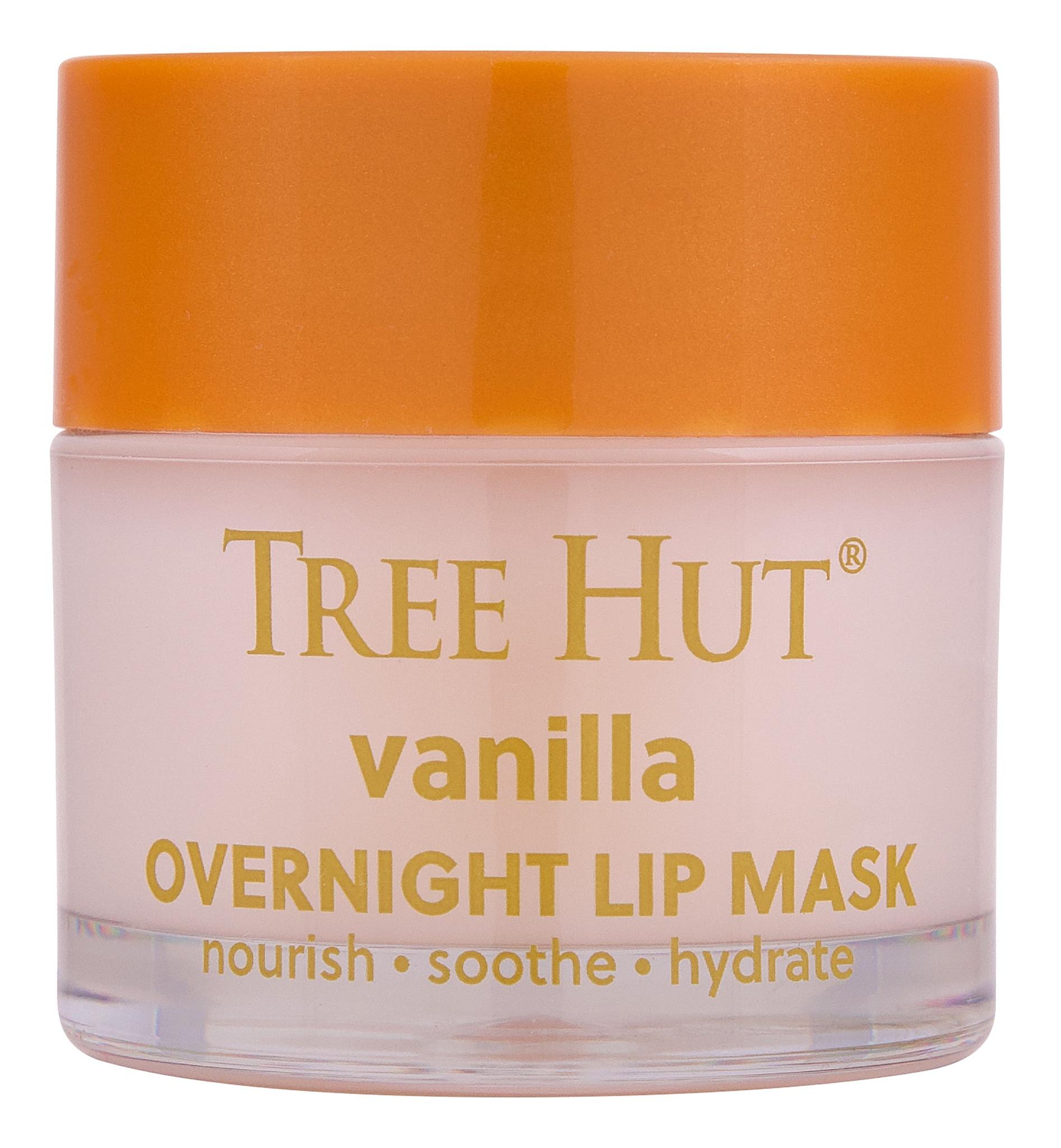 Overnight Lip Mask